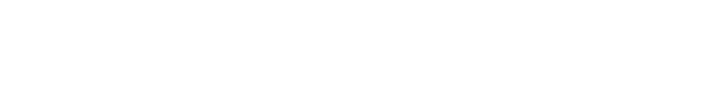 leisfre_logo